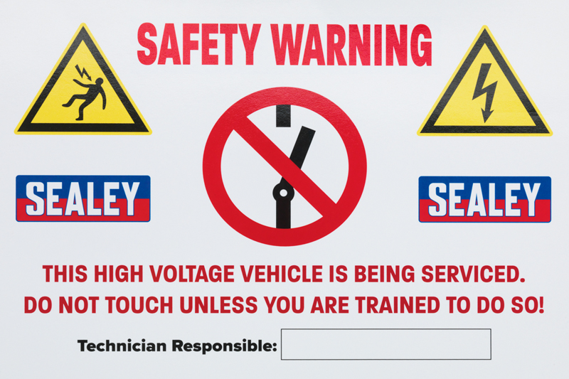 Health & Safety with Hybrid & Electric Vehicles Professional Motor