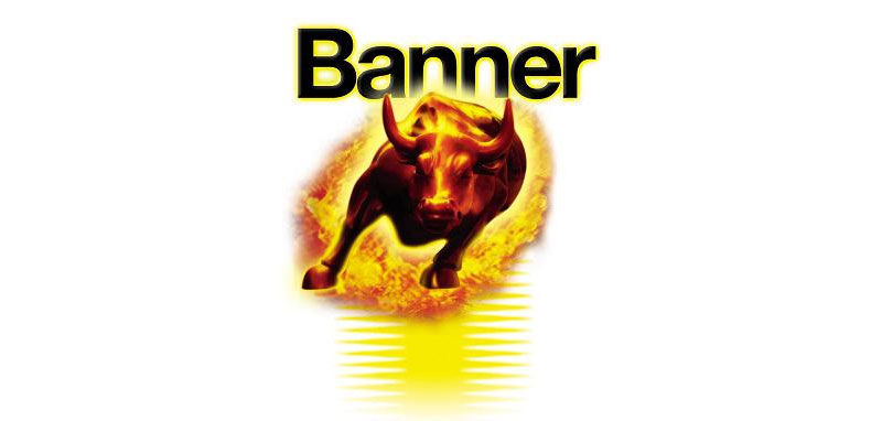 Banner Batteries Group posts record results