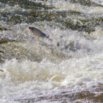 Should You Be Fishing Upstream?