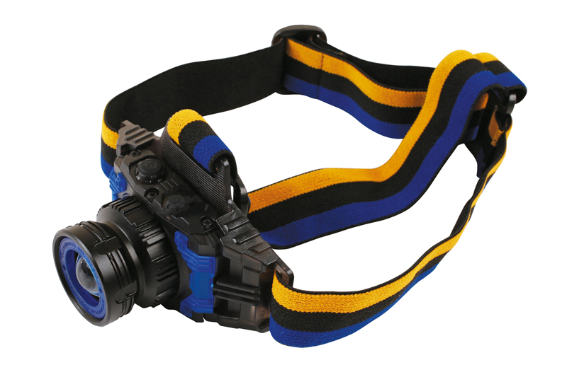 Head Mounted Torch