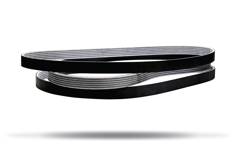 Belt clinic dayco pv belts Professional Motor Mechanic