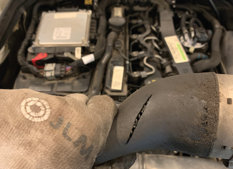 DPF Doctor member offers time saving advice