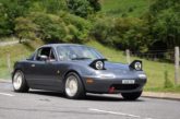 What's the role of suspension bushes?