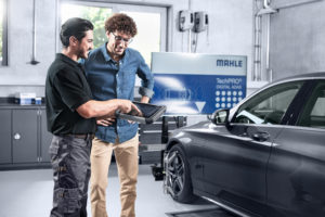 The vital role of ADAS