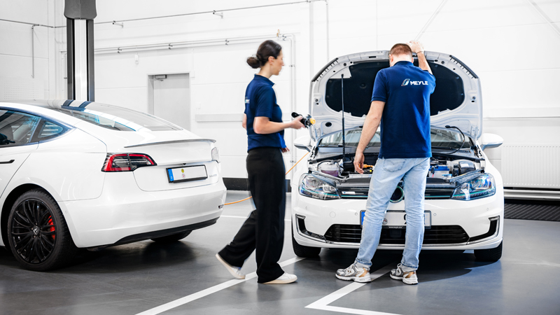 Meyle provides important EV servicing information