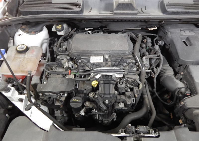 Replace the timing belt on a 2011 Ford Kuga