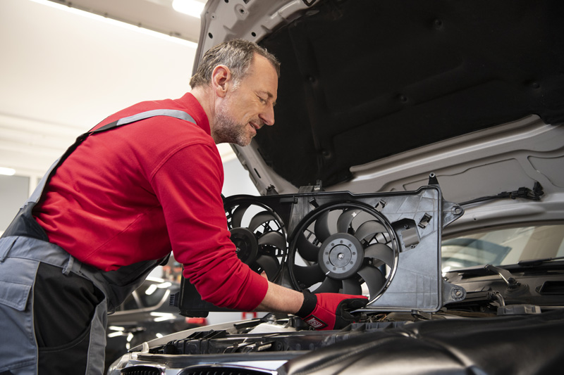 Try febi for unique parts